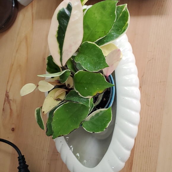 Vintage oval pot planter - Picture 5 of 7